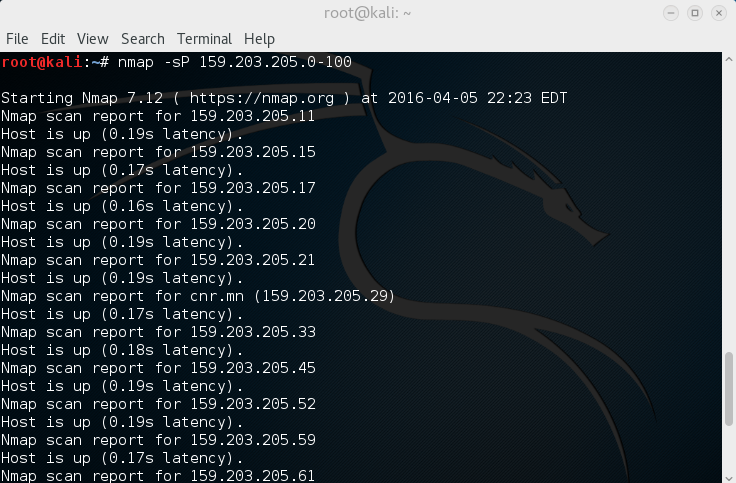kail linux nmap