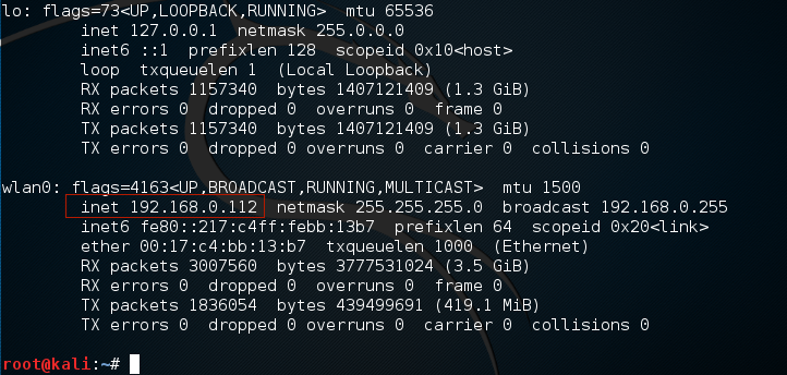 kali Linux ip